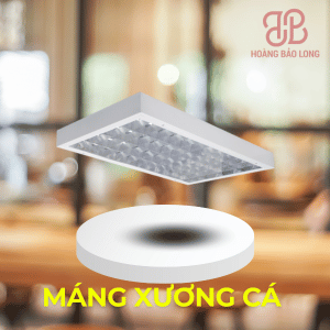 MÁNG XƯƠNG CÁ PARAGON