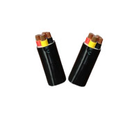 Dây và cáp điện lực hạ thế