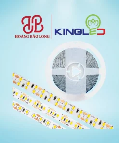 Đèn LED dán DC 12V LDDC-22-240-V/TT/T Kingled công suất 22W/m, mật độ 240 chip/m chiếu sáng cực mạnh, dải sáng mịn đẹp, CRI>90.