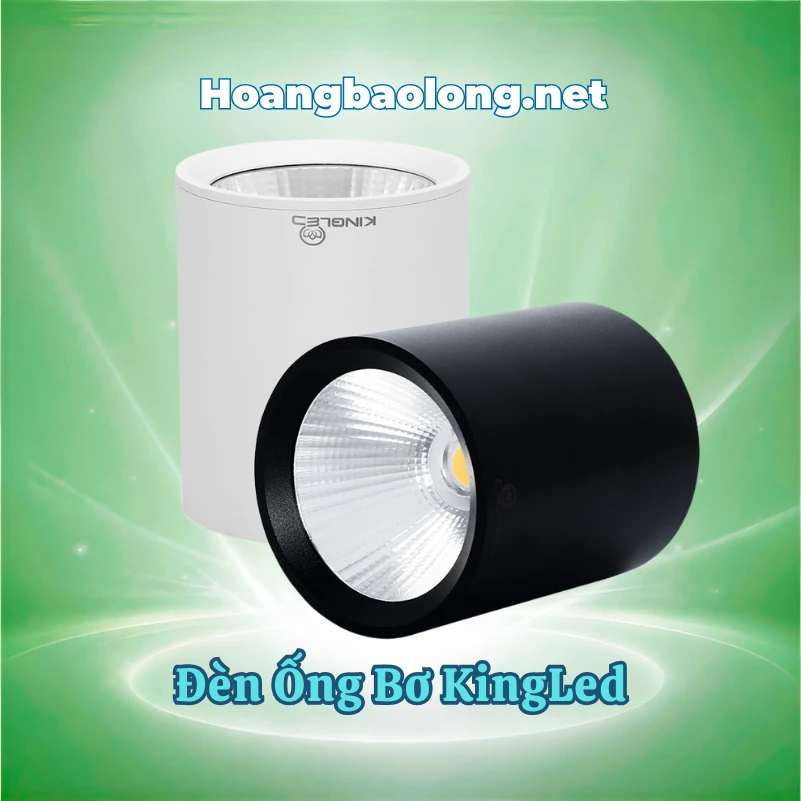 ĐÈN ÂM TRẦN KHẨN CẤP 3W DLKC-3-3 KingLed Đèn ống bơ KingLed phù hợp chiếu sáng nhà ở, cửa hàng, showroom và không gian nội thất. Xem mẫu, công suất, màu ánh sáng và giá bán.